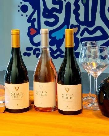 degustacia-vina-villa-velis